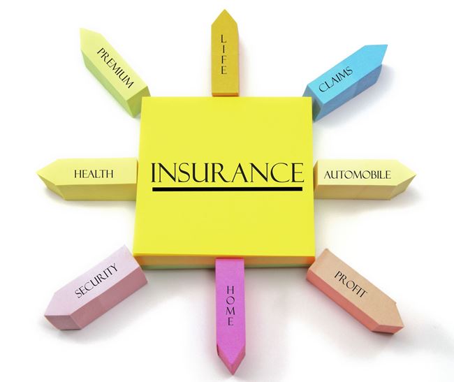 Phí bảo hiểm có thể nộp một lần ngay sau khi ký hợp đồng hoặc có thể nộp định kỳ trong năm