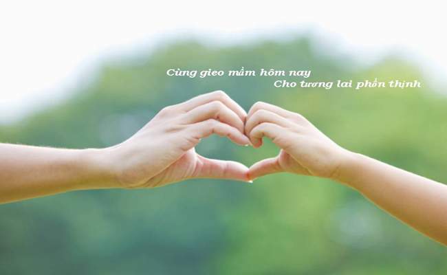 thebank_nolucphandauviloiichkhachhang_1492484334