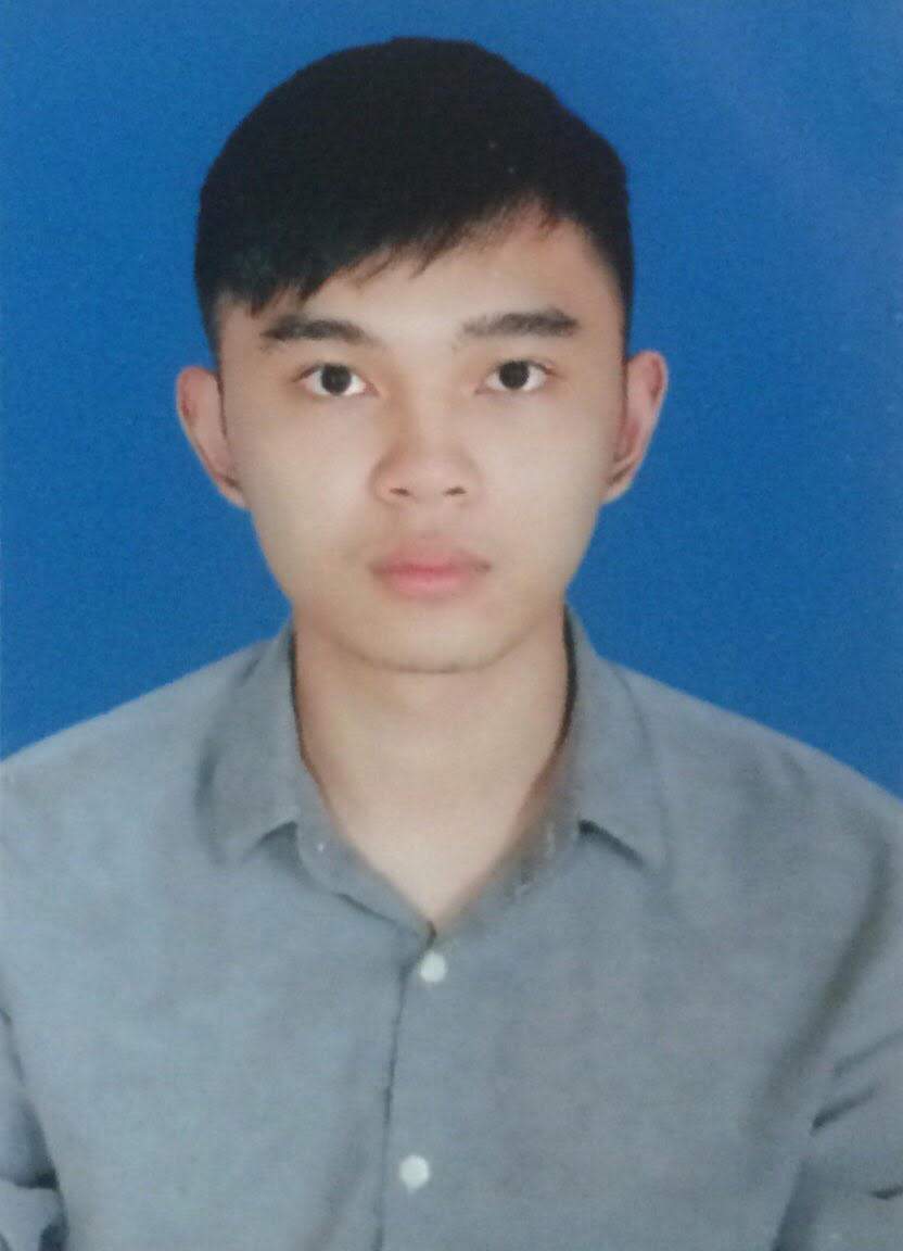 Chuyên gia Nguyễn Hoàng Hải