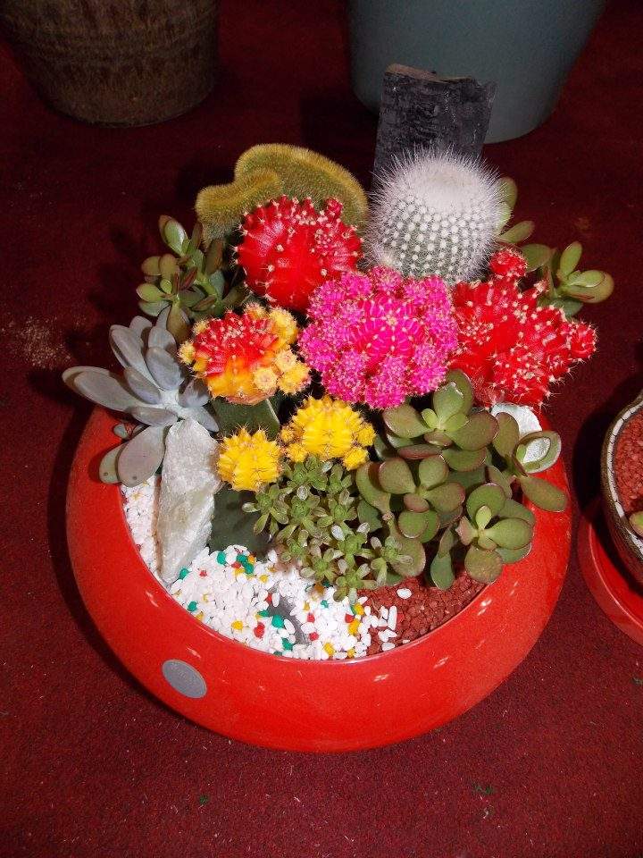Chuyên gia Đặng Thị Thùy Linh