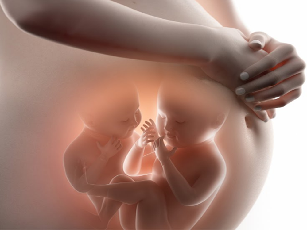 5 câu hỏi thường gặp liên quan đến chế độ bảo hiểm thai sản sinh đôi