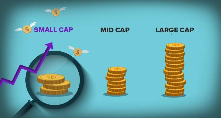 Cổ phiếu Large-caps, Mid-caps, Small-caps là gì? Đâu là sự lựa chọn đúng đắn?