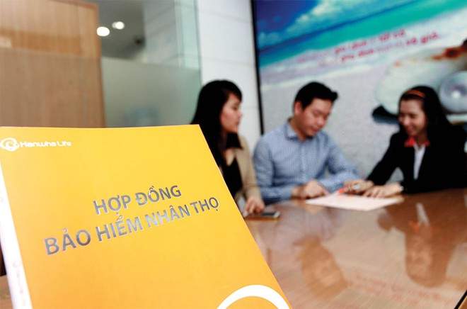 Hợp đồng bảo hiểm bị chấm dứt trong trường hợp nào?