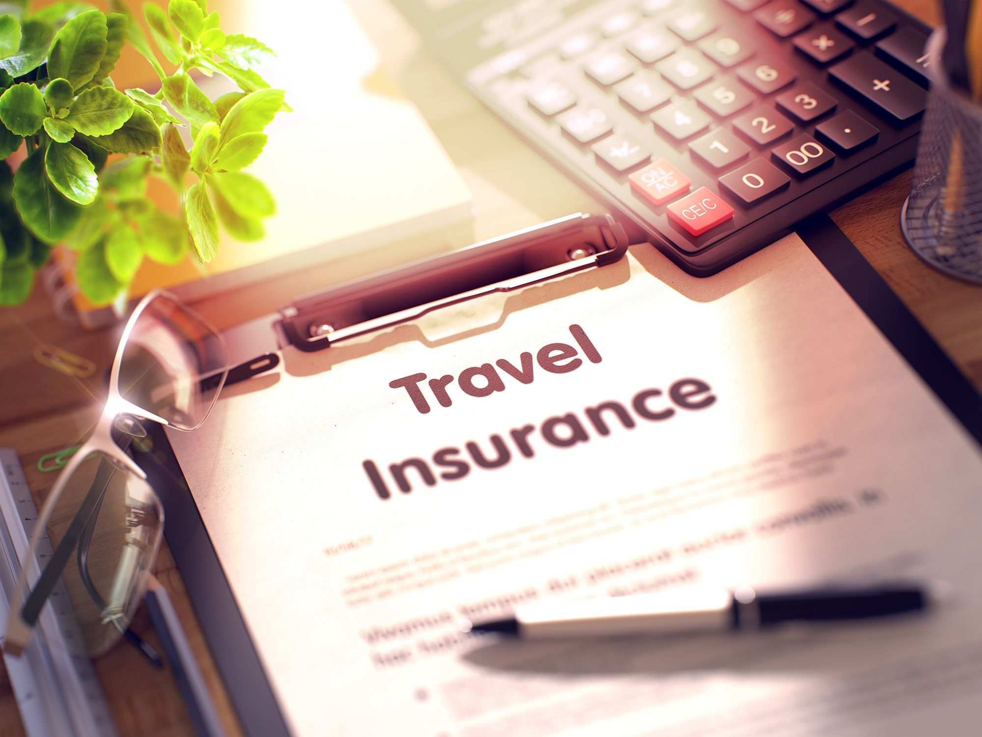 Hợp đồng bảo hiểm du lịch gồm những nội dung cơ bản nào?