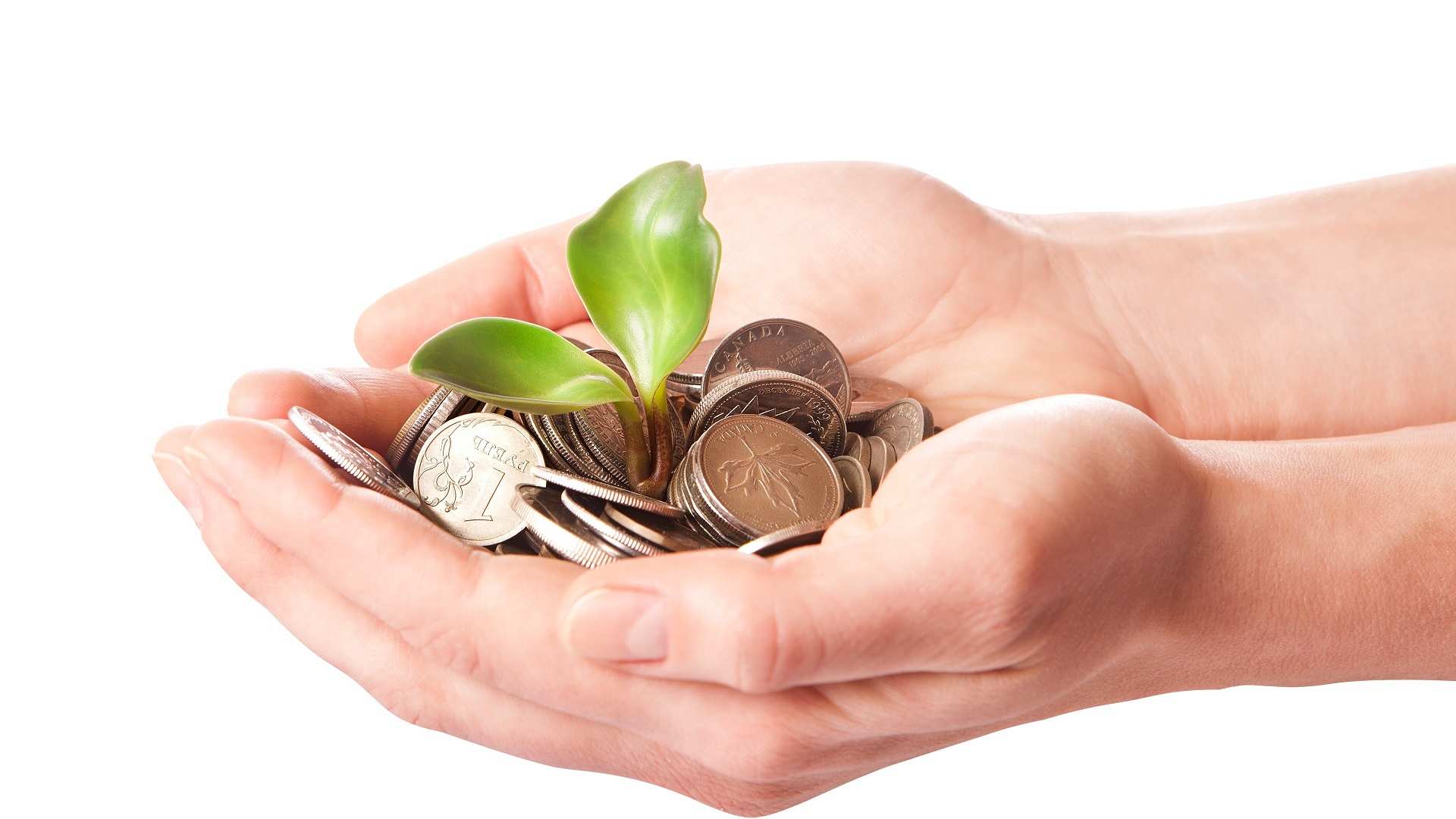 Những điều cần biết về giá trị tiền mặt trong bảo hiểm nhân thọ