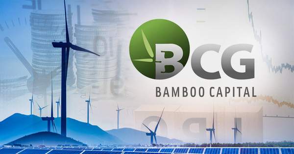 Lỗ lũy kế 863 tỷ đồng, công ty bảo hiểm AAA được Bamboo Capital mua lại