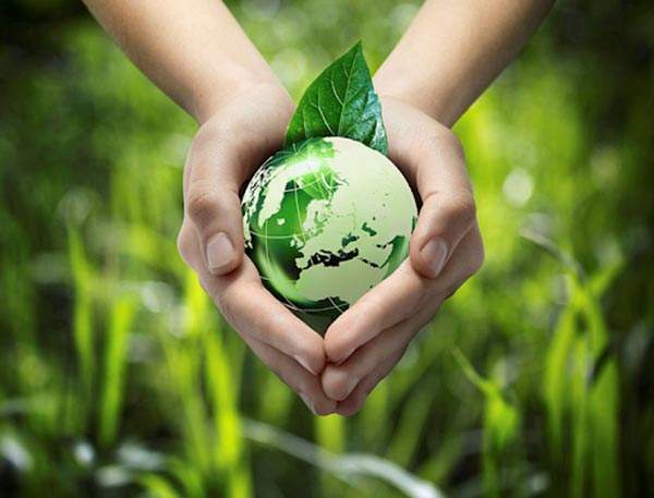 Kinh doanh xanh  - Giải pháp bảo vệ trái đất
