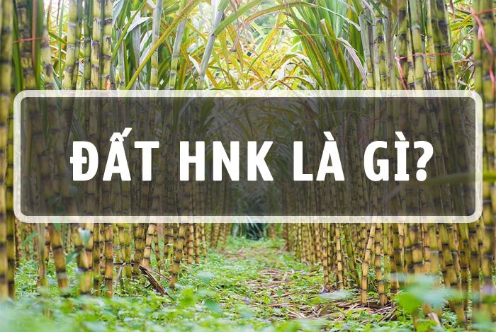 Loại đất HNK là gì?