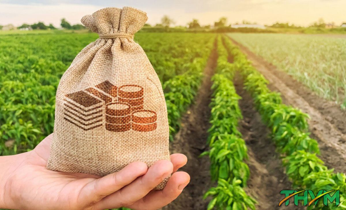 Đất sản xuất kinh doanh dịch vụ phi nông nghiệp có thể chuyển nhượng