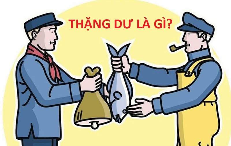 thặng dư xã hội là gì