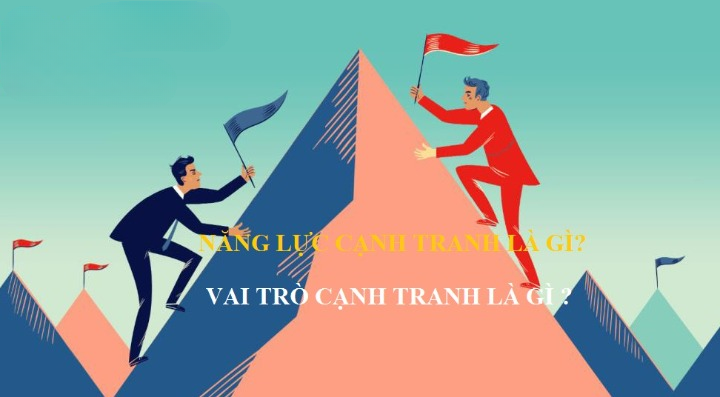năng lực cạnh tranh là gì