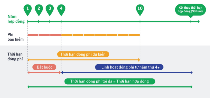 thời hạn đóng phí và thời hạn hợp đồng