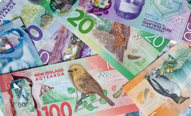 [Giải đáp] 1 Đô New Zealand bằng bao nhiêu tiền Việt Nam?