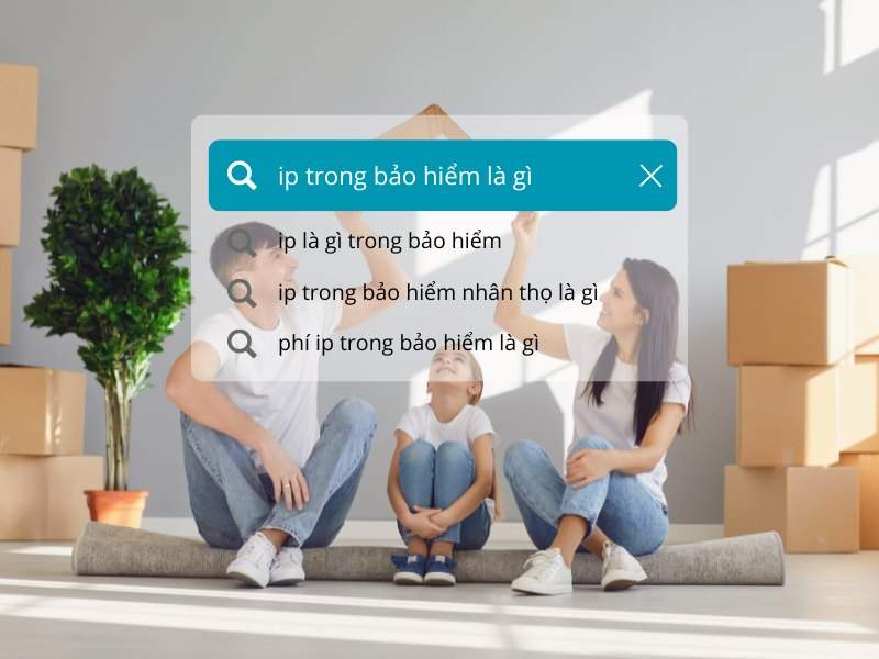 IP trong bảo hiểm là gì? Đặc trưng, phân loại & cách tính