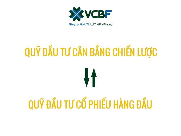 thebank_hinh4linhhoatchuyendoigiuahailoaiquy_1512703599
