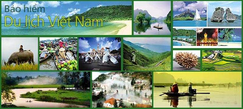Bảo hiểm du lịch trong nước của Bảo Minh giúp bạn an tâm trên mọi nẻo đường