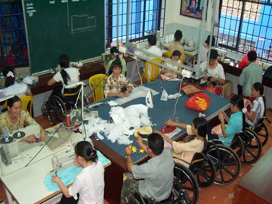 Người khuyết tật chủ yếu làm các công việc giản đơn và mang tính chất thời vụ